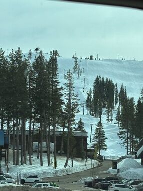 Meet your Posher, Ilea